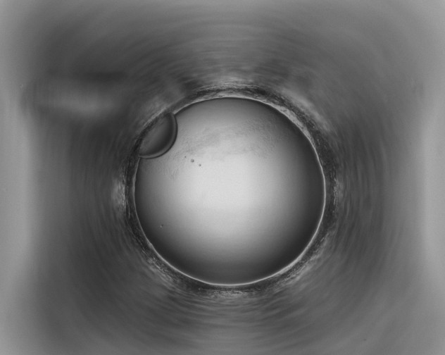X0000116321209200912011106