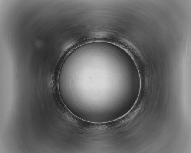 X0000116321210200912011106
