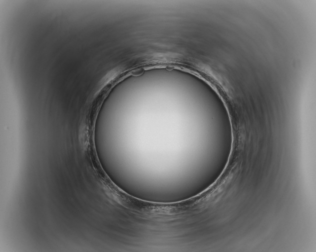 X0000116321211200912011106