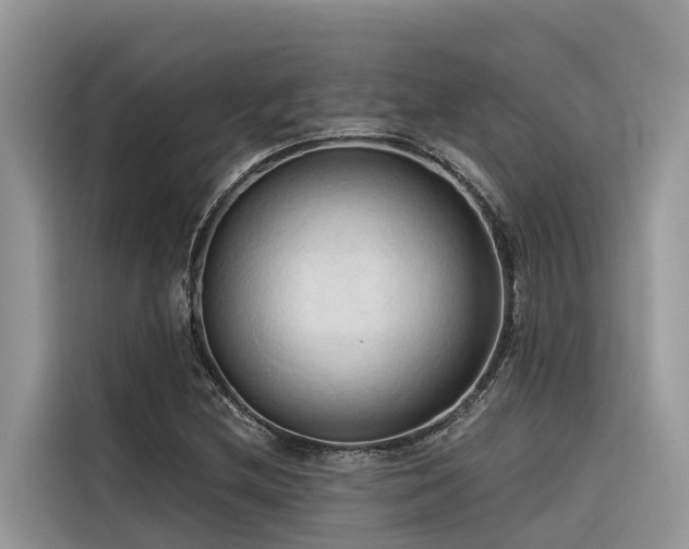X0000116321212200912011106