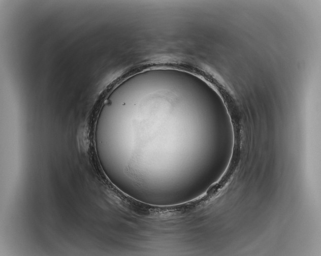 X0000116321213200912011106