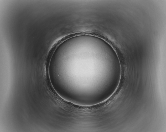 X0000116321214200912011106