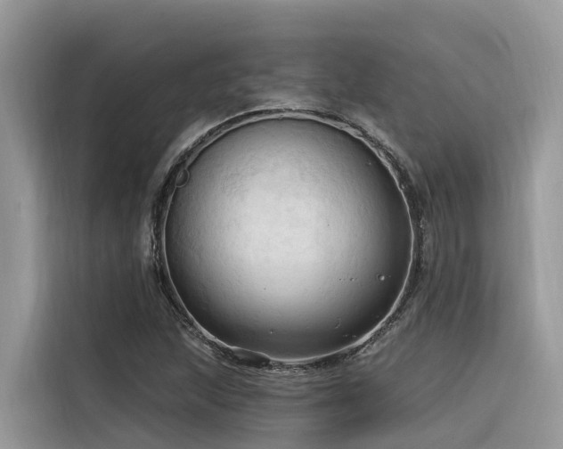 X0000116321215200912011106