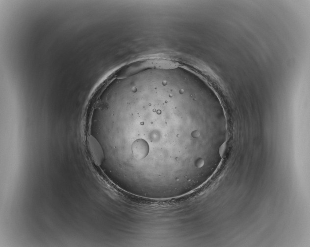 X0000116321216200912011106