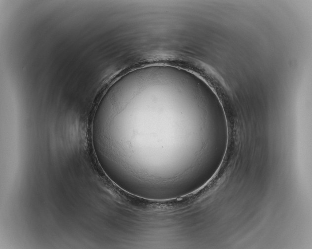 X0000116321217200912011106