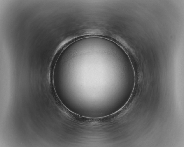 X0000116321222200912011106