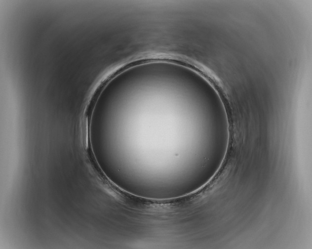 X0000116321223200912011106