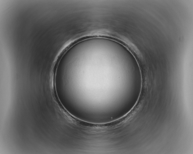 X0000116321224200912011106