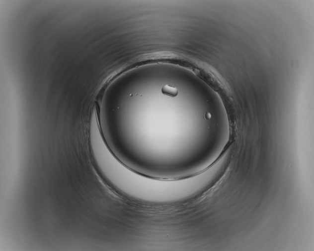 X0000116321225200912011106