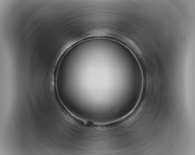 X0000116321226200912011106