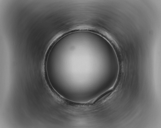 X0000116321229200912011106