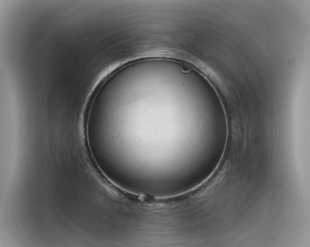 X0000116321230200912011106