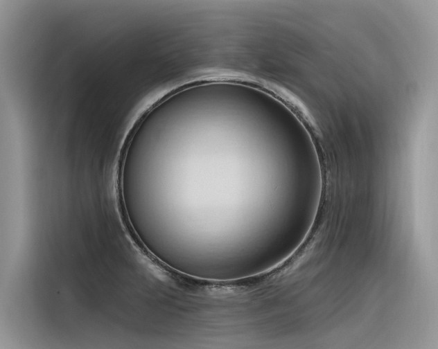 X0000116321231200912011106