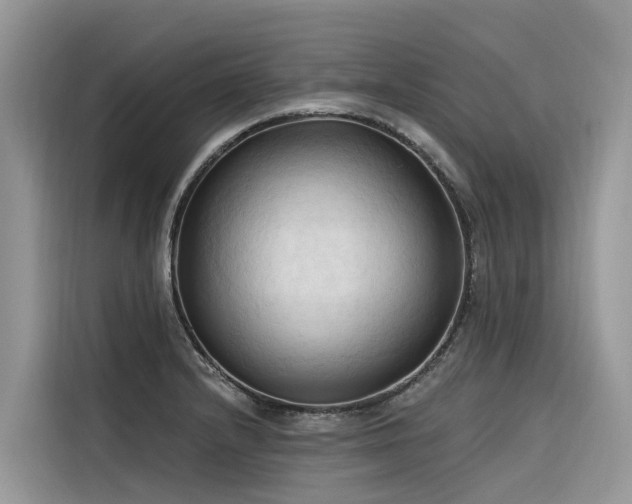 X0000116321232200912011106