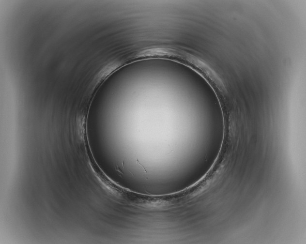 X0000116321233200912011106