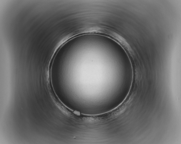 X0000116321234200912011106