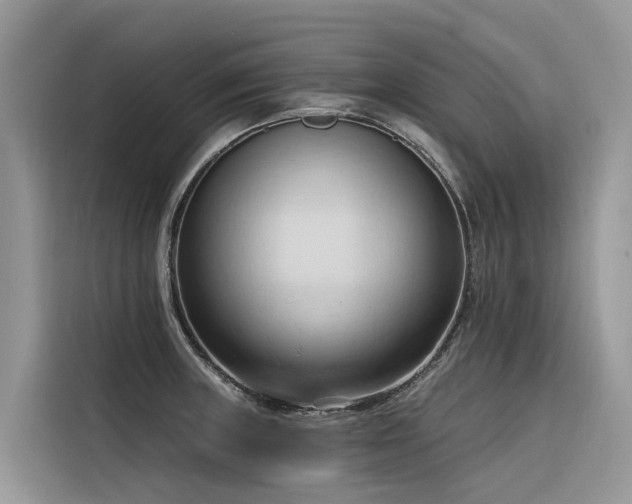 X0000116321235200912011106