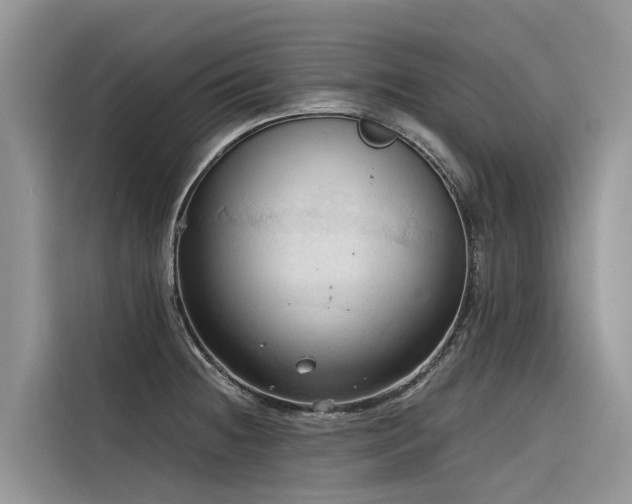 X0000116321236200912011106