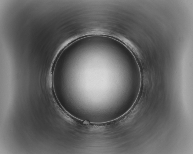 X0000116321238200912011106