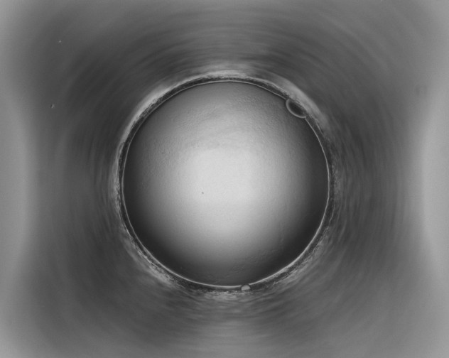X0000116321240200912011106