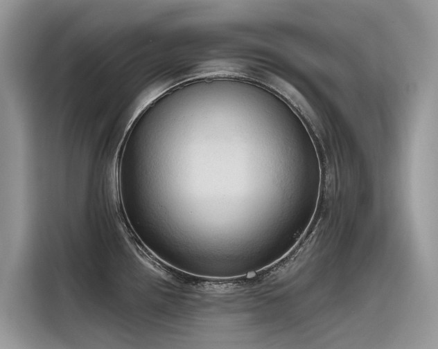 X0000116321242200912011106