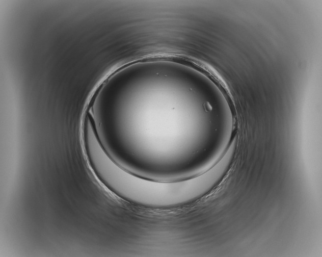 X0000116321243200912011106