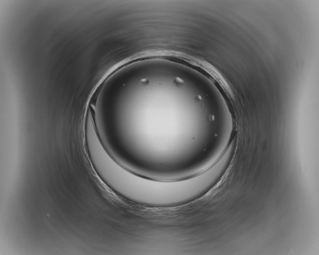 X0000116321244200912011106