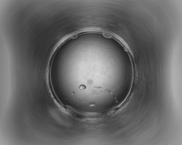X0000116321245200912011106