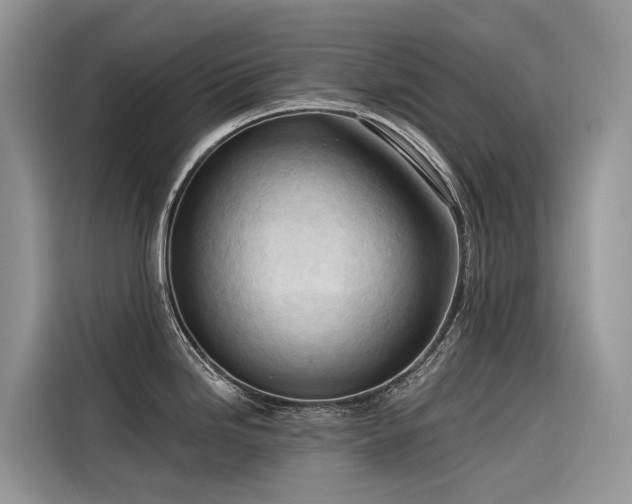 X0000116321246200912011106