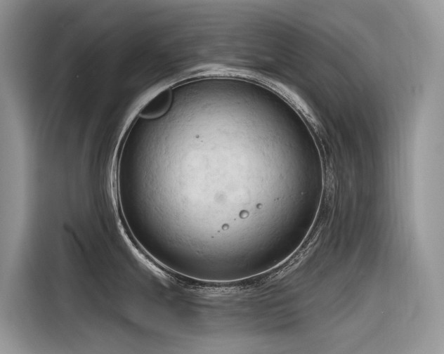 X0000116321247200912011106