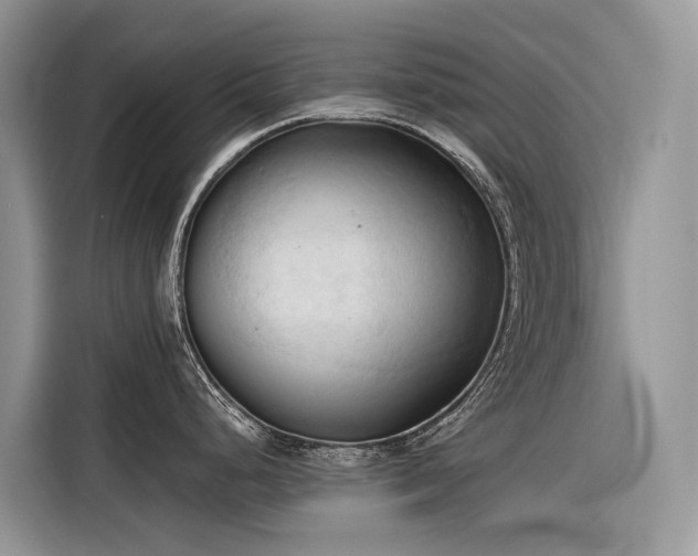 X0000116321248200912011106