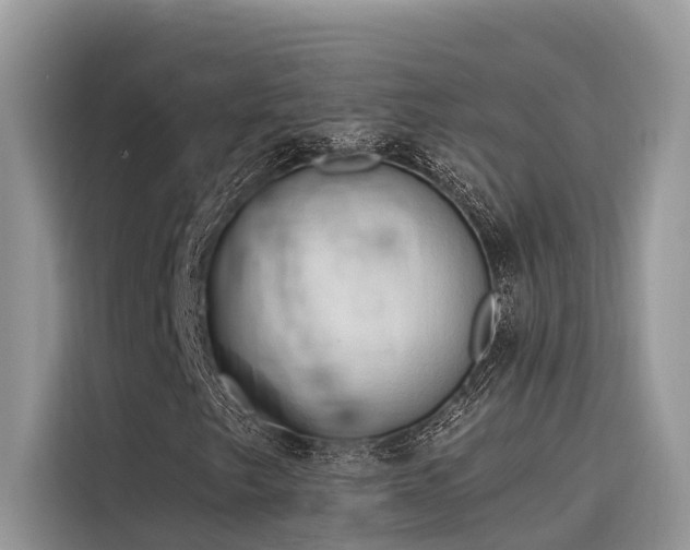 X0000116321249200912011105