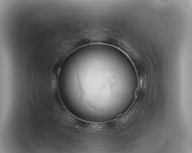 X0000116321251200912011105