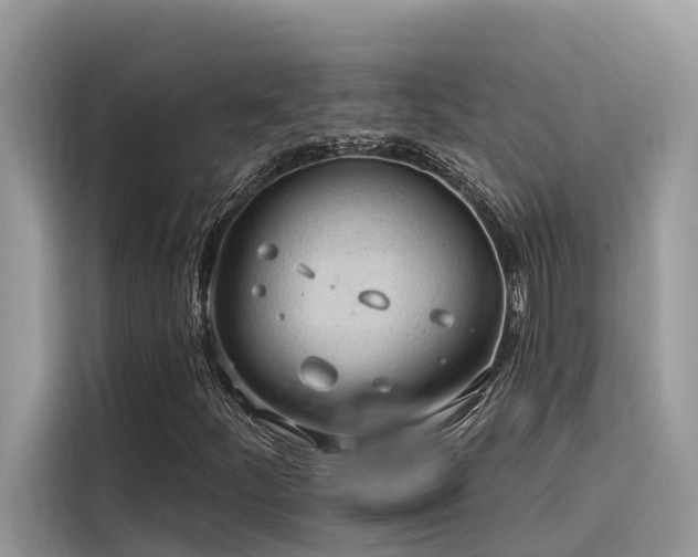 X0000116321252200912011105