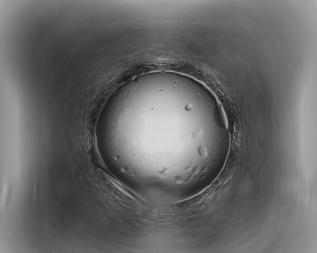 X0000116321253200912011105