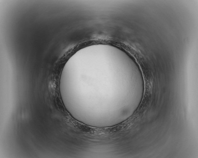X0000116321254200912011105