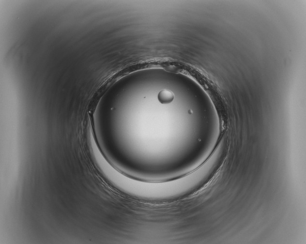X0000116321257200912011105