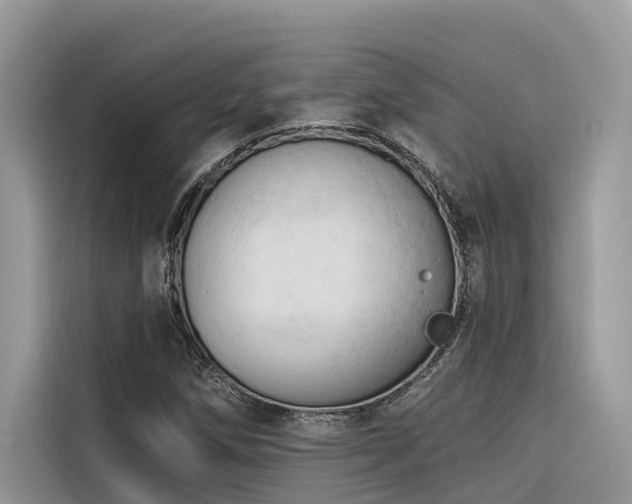 X0000116321258200912011105