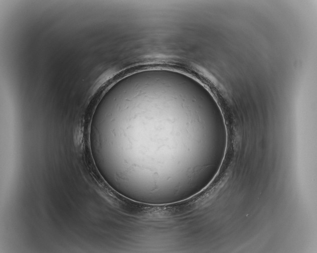 X0000116321259200912011105