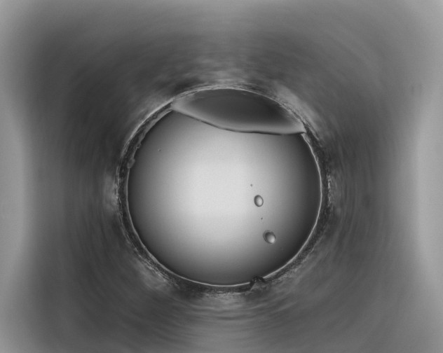 X0000116321260200912011105