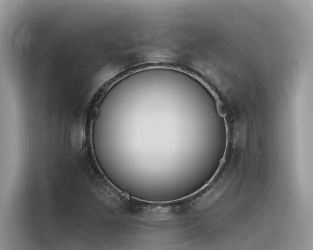 X0000116321261200912011105