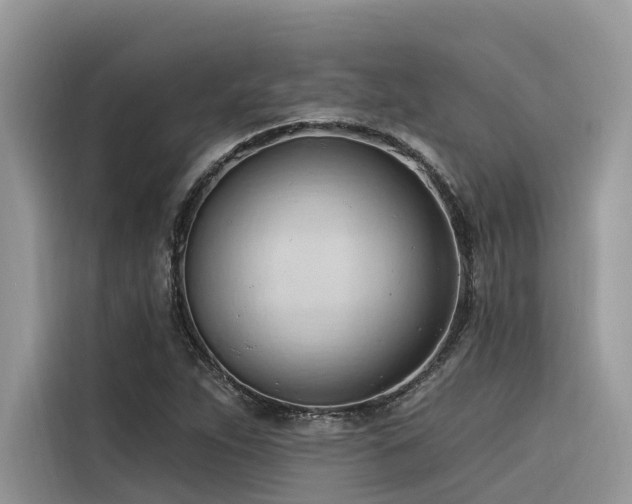 X0000116321263200912011105