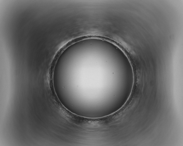 X0000116321264200912011105