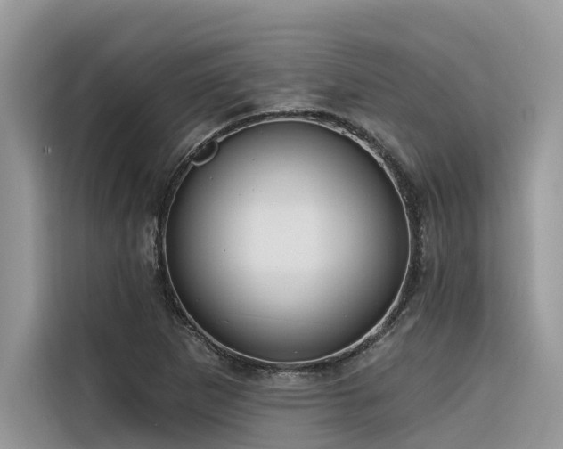 X0000116321265200912011105