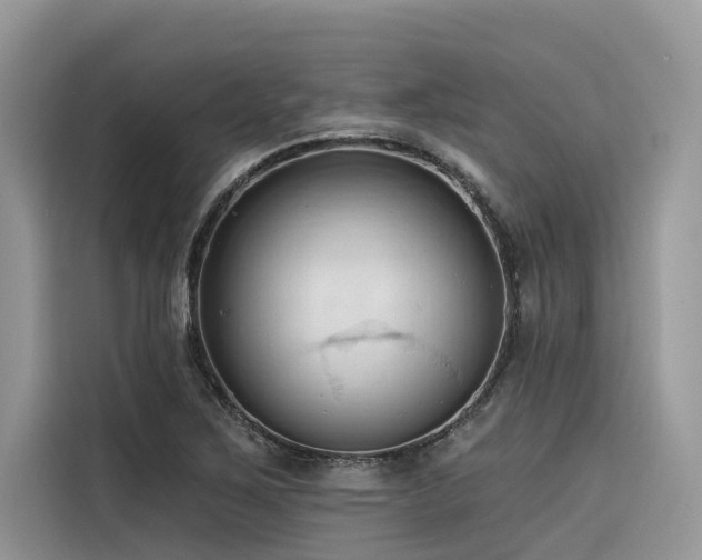 X0000116321267200912011105