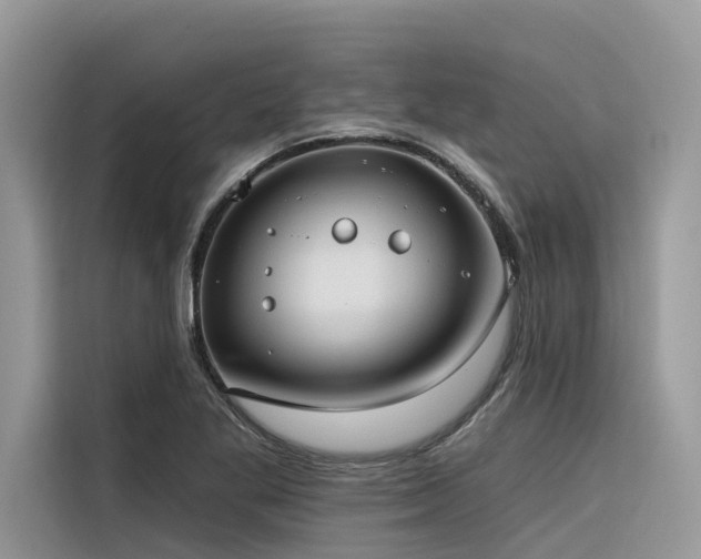 X0000116321269200912011105