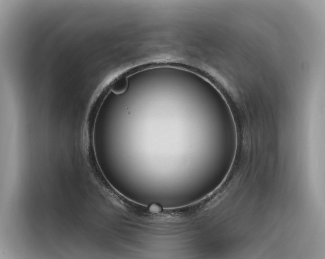 X0000116321270200912011105