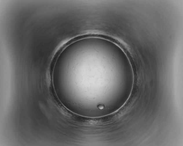 X0000116321271200912011105