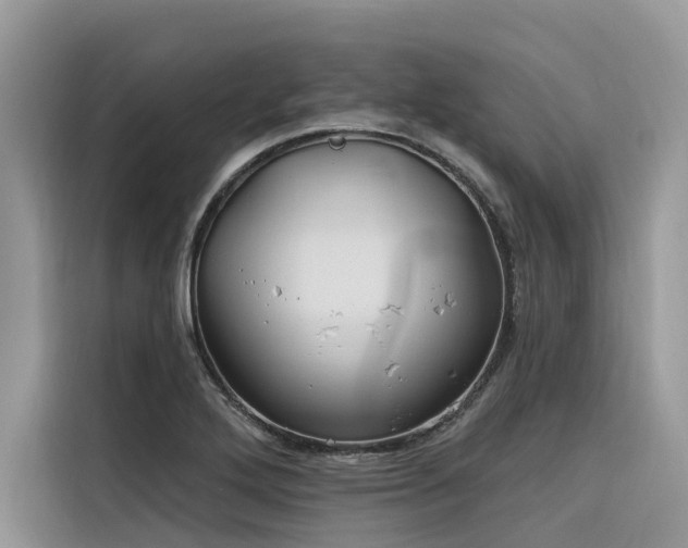 X0000116321272200912011105
