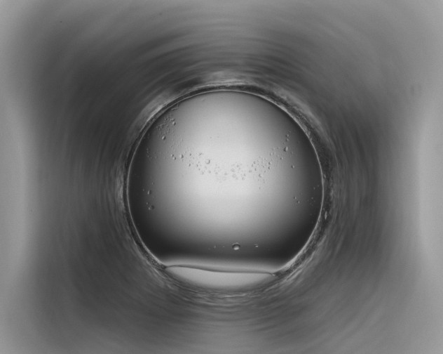 X0000116321273200912011105